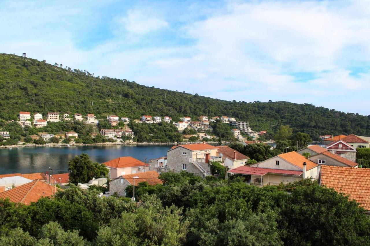 Apartment Meri Smokvica (Korcula)